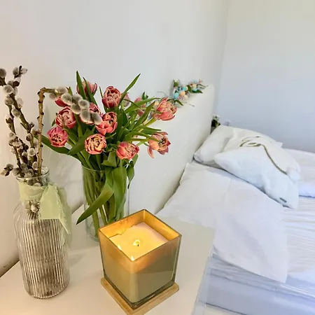 Apartamento Al-dom Aniol *
