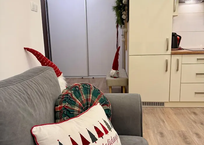 Al-Dom Apartament Aniol 아파트